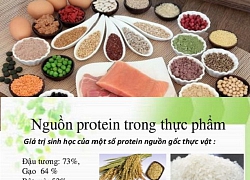 Chế độ ăn cần kết hợp hài hòa đạm động vật và đạm thực vật