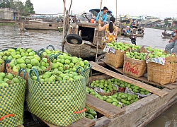 Chuẩn bị kỹ cho "cuộc chơi lớn"