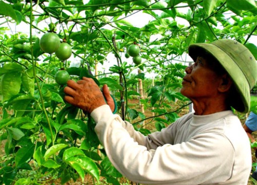 Hướng về cơ sở, tháo gỡ khó khăn cho nông dân