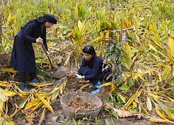 Năm 2020: Sẽ có ít nhất 59% số xã đạt chuẩn nông thôn mới