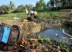 Né hạn mặn, Cục Trồng trọt khuyến cáo chuyển đổi thêm 50.000ha