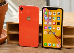 Tại sao iPhone XR lại dẫn đầu về doanh số bán hàng, mặc cho iPhone 11 ra mắt?