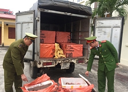 Tiêu hủy 1,1 tấn chân giò, nầm, xương lợn 'bẩn' trên đường về Hà Nội