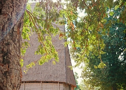 Bình yên Kon Jơ Dri
