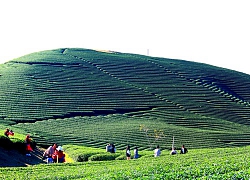 Hương sắc Mộc Châu