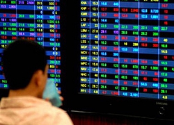 Đầu năm đổ 100 triệu vào công ty Việt này, cuối năm có ngay 500 triệu tiêu Tết