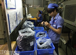 Đơn đặt hàng mới tăng nhanh, nhà sản xuất lên kế hoạch tăng sản lượng