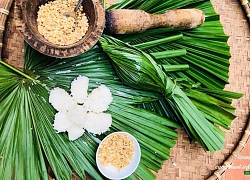 Món ăn từ... cọ