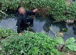 Nghi sờ ngực cô gái giữa đường, nam thanh niên bị đánh chảy máu mồm, đạp ngã xuống mương nước