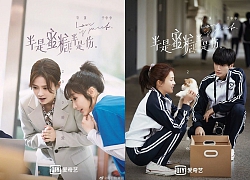 'Nửa là đường mật, nửa là đau thương' tung poster phim mới: La Vân Hi như 'tiên tử', Bạch Lộc rất khả ái