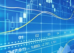 Phiên 3/1: Khối ngoại trở lại mua ròng, tập trung "gom" HPG