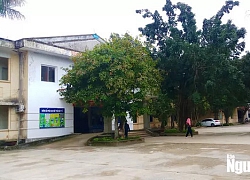 Thai nhi tử vong bất thường sau sinh là do "dây rốn bám lạc chỗ"?