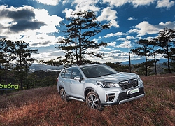 Trải nghiệm, đánh giá Subaru Forester EyeSight 2019: Tinh hoa SUV Nhật Bản