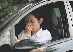 Về nhà không báo trước, nhìn thức ăn trong bát cơm của mẹ, em hất tung rồi gọi chị dâu hỏi cho ra lẽ, không ngờ câu trả lời còn sốc óc hơn