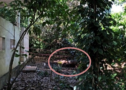 Thi thể người đàn ông nghi bị thiêu dưới hố chôn rác