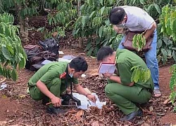 Vụ thi thể nữ 9X thiếu bàn tay trong rẫy cà phê: Lời khai nghi phạm