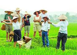 Chỗ check in sành điệu nhất cao nguyên đá Hà Giang