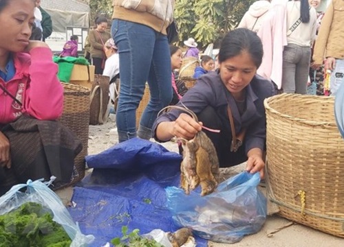 Chợ phiên biên giới Na Mèo: Điểm giao thương của người dân Việt-Lào