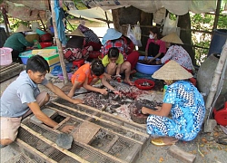 Đầu năm Canh Tý 'xông đất' chợ chuột đồng lớn nhất miền Tây