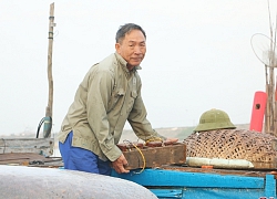 Đầu năm mới giá tôm, cá, ghẹ tăng cao, cứ ra biển là có tiền triệu