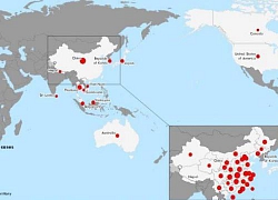 Điểm khác lạ trong báo cáo của WHO về virus Corona