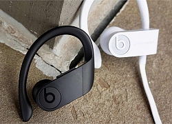 Hình ảnh tai nghe Powerbeats 4 được tiết lộ trong bản cập nhật iOS 13.3.1