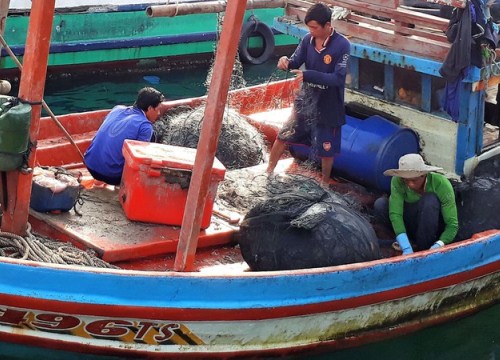 Khai thác thủy sản đầu năm: Ngư dân Cà Mau ấm áp mùa Tết biển