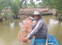 Lý do cua biển ngon nhất miền Tây trúng giá dịp Tết Canh Tý