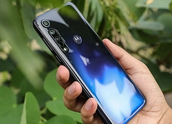 Moto G8 và Moto G8 Power lộ cấu hình: Bản tiêu chuẩn có 3 camera sau, bản pin 'trâu' có 4 camera sau