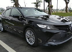 Sedan hạng D bán chạy năm 2019: Toyota Camry dẫn đầu, Honda Accord 'ế ẩm'