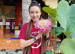 Angela Phương Trinh: "Đòn roi" dư luận và màn "lột xác" 180 độ không ai ngờ