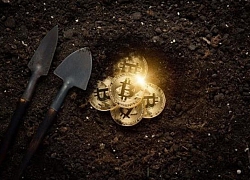 Bitcoin hồi phục sau đợt bán tháo