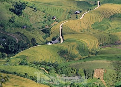 Ruộng bậc thang Mù Cang Chải thành Di tích quốc gia đặc biệt