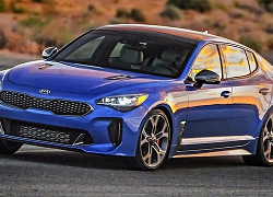 Kia Stinger tiếp tục nâng cấp, muốn thoát mác giá rẻ để với lên tầm hạng sang