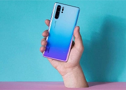 Rò rỉ hình ảnh cho thấy Huawei P40 sẽ chỉ có 3 camera sau