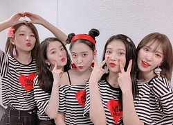 So với các top girlgroup cùng thời, Knet cho rằng đây là điểm đáng ngạc nhiên nhất trong đời sống riêng tư của Red Velvet