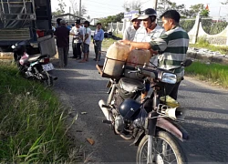 Thả cá ruộng lúa, ít phải chăm cá lại lớn nhanh, ra xem không chán