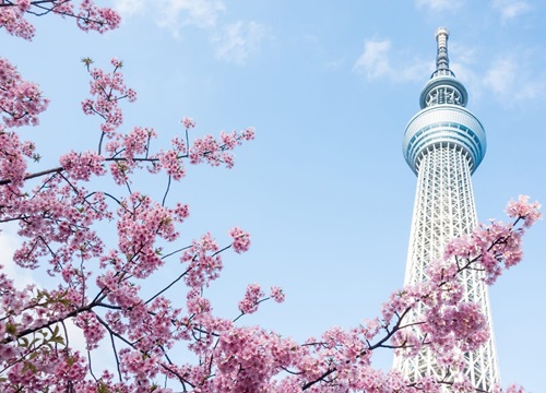 Top 10 thứ không được bỏ qua khi đến Tokyo