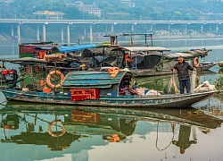 TQ cấm đánh bắt cá trên sông Dương Tử 10 năm để bảo vệ hệ sinh thái