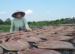 Xẻ thịt cá lóc làm đặc sản khô bán Tết, lên máy bay xuất ngoại