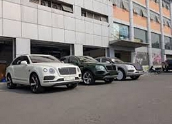 Bentley Bentayga ồ ạt về nước với số lượng lớn cho đại gia Việt chơi Tết, một chiếc sở hữu chi tiết đặc biệt lần đầu xuất hiện