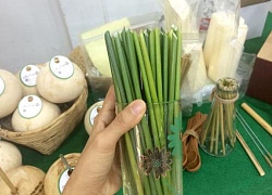 Chàng trai "khắc tinh" của ống hút nhựa