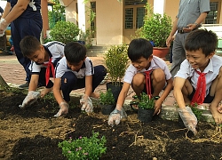 Khánh Hòa: Ngành giáo dục phát động phong trào "Tết trồng cây đời đời nhớ ơn Bác Hồ"