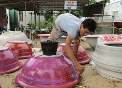 Làm chậu kiểng mùa bán Tết