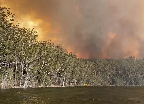 Người đàn ông gục ngủ sau khi chiến đấu với đám cháy ở Australia