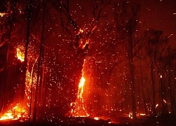 Nguy cơ cháy rừng dữ dội trở lại, Australia ban hành cảnh báo và thông báo sơ tán mới