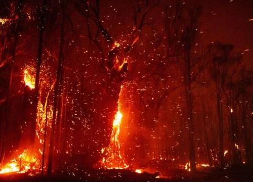 Nguy cơ cháy rừng dữ dội trở lại, Australia ban hành cảnh báo và thông báo sơ tán mới