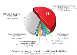 Nhiều công ty quản lý quỹ lọt "tầm ngắm" tái cấu trúc năm 2020