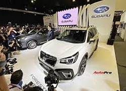 Ra mắt Subaru Forester 2020: Về Việt Nam ngay sau Tết, thêm công nghệ đấu Mazda CX-5