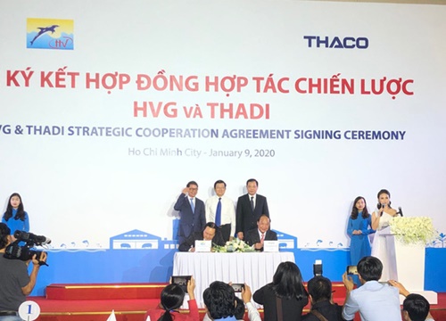 Thaco sẽ nắm 35% vốn của Thuỷ sản Hùng Vương (HVG), rót 65% vào liên doanh nuôi heo giống